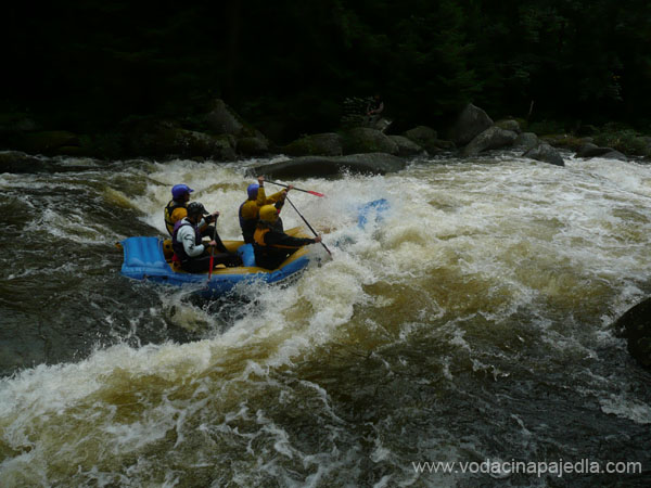 22 Raft
